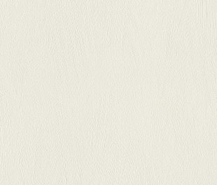 Виниловые обои Allegretto 540802 Обои Rasch (Allegretto) (1*12) 10,05x0,53 винил на флизелине
