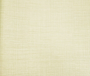 Виниловые обои Trussardi V 21838 Обои Zambaiti (Trussardi V) (1*6) 10,05x0,70 винил на флизелине