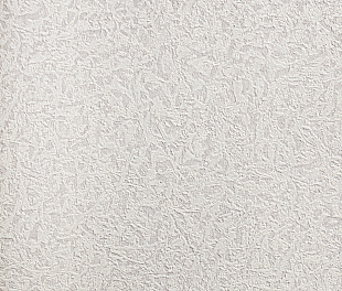 Виниловые обои Roberto Cavalli Обои  Roberto Cavalli RC 19024