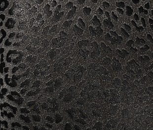 Виниловые обои Philipp Plein Обои PHILIPP PLEIN  Z 80042