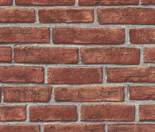 Виниловые обои Allegretto 791440 Обои Rasch (Allegretto) (1*12) 10,05x0,53 винил на флизелине