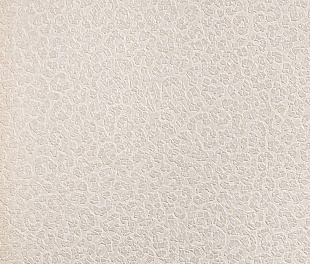 Виниловые обои Roberto Cavalli Обои  Roberto Cavalli RC 19016