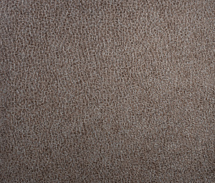 Виниловые обои Four Seasons Обои  Alessandro Allori RST1607-7