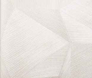 Виниловые обои Trussardi V 21844 Обои Zambaiti (Trussardi V) (1*6) 10,05x0,70 винил на флизелине