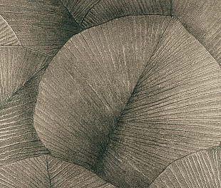 Обои KUMANO34563