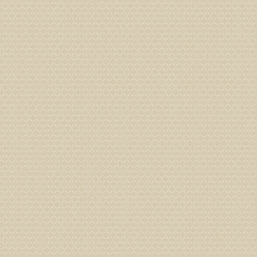 ARTS3 003  Обои Artsimple (Mozart) (1*6) 10,05x1,00 флизелин