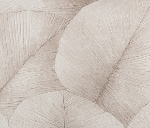 Обои KUMANO34561