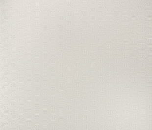 Виниловые обои Philipp Plein Обои PHILIPP PLEIN  Z 80061