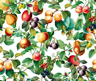 35632 Обои Marburg (Gloockler Pompoos Provence) (1*12) 10,05x0,53 винил на флизелине