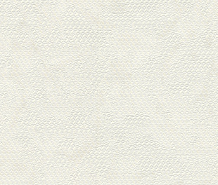 Виниловые обои Lamborghini II 90036 Обои Zambaiti (Lamborghini II) (1*6) 10,05x0,70 винил на флизелине