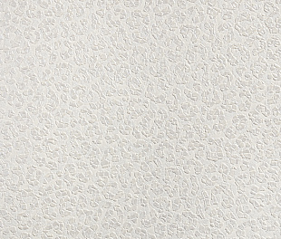 Виниловые обои Roberto Cavalli Обои  Roberto Cavalli RC 19020