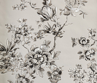 Виниловые обои Roberto Cavalli Обои  Roberto Cavalli RC 19046