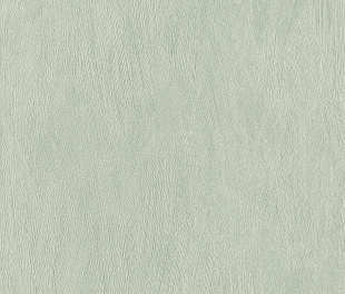 Виниловые обои Allegretto 540840 Обои Rasch (Allegretto) (1*12) 10,05x0,53 винил на флизелине