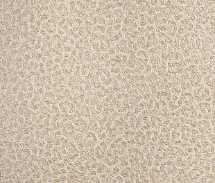 Виниловые обои Roberto Cavalli Обои  Roberto Cavalli RC 19021