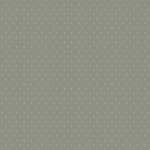 ARTS2 005  Обои Artsimple (Mozart) (1*6) 10,05x1,00 флизелин