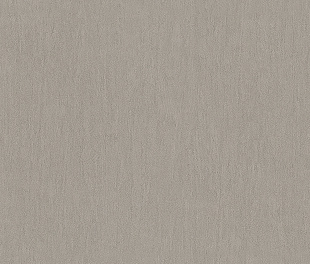 Виниловые обои Vision 76019 Обои Zambaiti (Vision) (1*6) 10,05x0,70 винил на флизелине