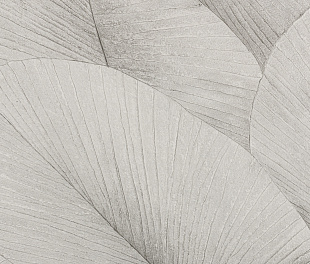 Обои KUMANO34559