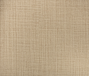 Виниловые обои Philipp Plein Обои PHILIPP PLEIN  Z 80047