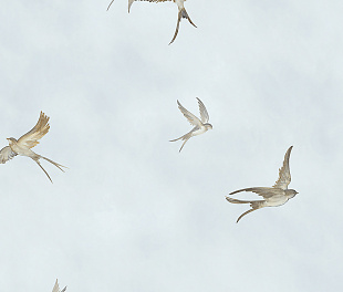 Флизелиновые обои Essentiell 34789 Обои Marburg (Essentiell) (1*12) 10,05x0,53 флизелин