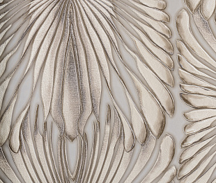 Виниловые обои Roberto Cavalli Обои  Roberto Cavalli RC 19008