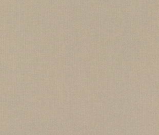 Виниловые обои Allegretto 423921 Обои Rasch (Allegretto) (1*12) 10,05x0,53 винил на флизелине