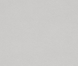 Виниловые обои Allegretto 479447 Обои Rasch (Allegretto) (1*12) 10,05x0,53 винил на флизелине