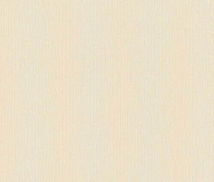 Виниловые обои Novella 960778 Обои Rasch (Novella) (1*6) 10,05x1,06 винил на флизелине