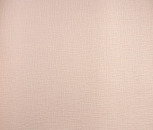 Виниловые обои Dolce Vita Обои  Alessandro Allori RDV 2408-7