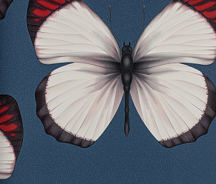 Виниловые обои Cheradi Обои Andrea Rossi Cheradi 54401-8