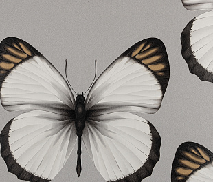 Виниловые обои Cheradi Обои Andrea Rossi Cheradi 54401-6