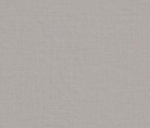 Виниловые обои Italian Comfort R 24223 Обои Fipar (Italian Comfort) (1*4) 10,05х1,06 винил на флизелине