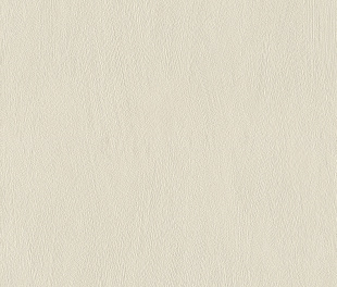 Виниловые обои Allegretto 540819 Обои Rasch (Allegretto) (1*12) 10,05x0,53 винил на флизелине