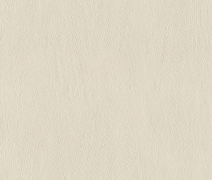 Виниловые обои Allegretto 540826 Обои Rasch (Allegretto) (1*12) 10,05x0,53 винил на флизелине
