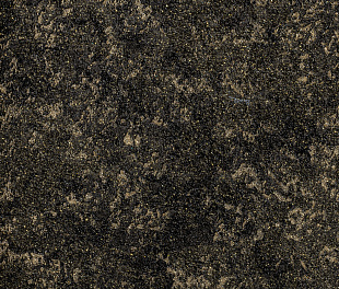 Виниловые обои Roberto Cavalli Обои  Roberto Cavalli RC 19054