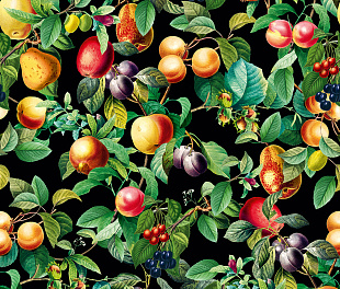 35634 Обои Marburg (Gloockler Pompoos Provence) (1*12) 10,05x0,53 винил на флизелине