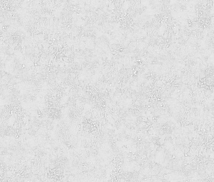 Виниловые обои Originale R161113 Обои Grandeco (Originale) (1*6) 10,05х1,06 винил на флизелине