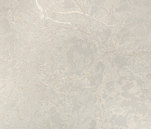 Виниловые обои Philipp Plein Обои PHILIPP PLEIN  Z 80016