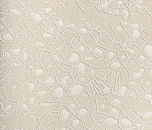 Виниловые обои Roberto Cavalli Обои  Roberto Cavalli RC 19037