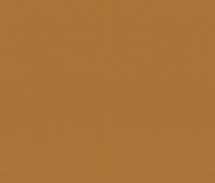 Виниловые обои Allegretto 688054 Обои Rasch (Allegretto) (1*12) 10,05x0,53 винил на флизелине