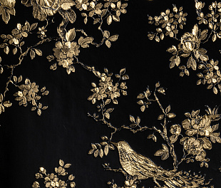 Виниловые обои Roberto Cavalli Обои  Roberto Cavalli RC 19043