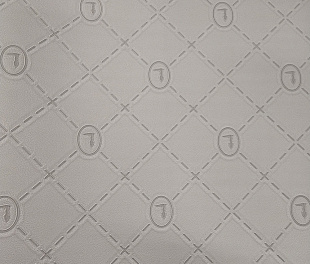 Виниловые обои Trussardi V 21860 Обои Zambaiti (Trussardi V) (1*6) 10,05x0,70 винил на флизелине