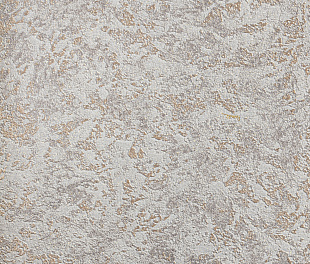 Виниловые обои Roberto Cavalli Обои  Roberto Cavalli RC 19057