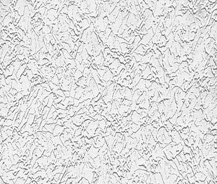 Виниловые обои Antivandal Обои AS Creation Antivandal 5938-18