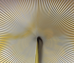 Виниловые обои Trussardi VII 18991 Панно Zambaiti (Trussardi VII) (1*1) 3,00х3,00 винил на флизелине