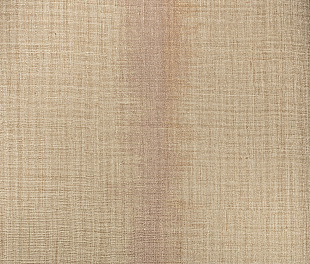 Виниловые обои Philipp Plein Обои PHILIPP PLEIN  Z 80046