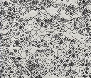 Виниловые обои Roberto Cavalli Обои  Roberto Cavalli RC 19035