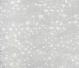 Виниловые обои Roberto Cavalli Обои  Roberto Cavalli RC 19034