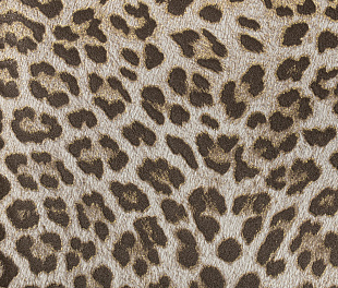 Виниловые обои Philipp Plein Обои PHILIPP PLEIN  Z 80038