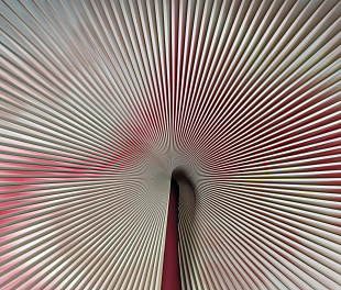 Виниловые обои Trussardi VII 18989 Панно Zambaiti (Trussardi VII) (1*1) 3,00х3,00 винил на флизелине