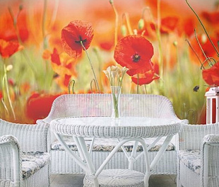 Обои Affresco Affresco 11673